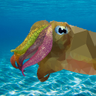 Cuddlefishez's profile picture