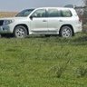 عبد القادر الجنيد profil fotoğrafı