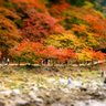 いち 的头像