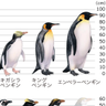 てんまさ 的头像