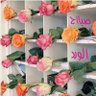 Hayat Abdallah profil fotoğrafı