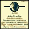 Sevim's profile picture