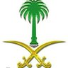 Ali Alghazwany 的头像