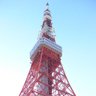 カボチャ's profile picture