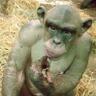 Cristian's profile picture