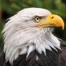 amori's profile picture