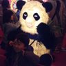 Profilbild von カロロ🐼