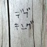 ニョンクス壊(ヨワヨワトレーナー) 的头像
