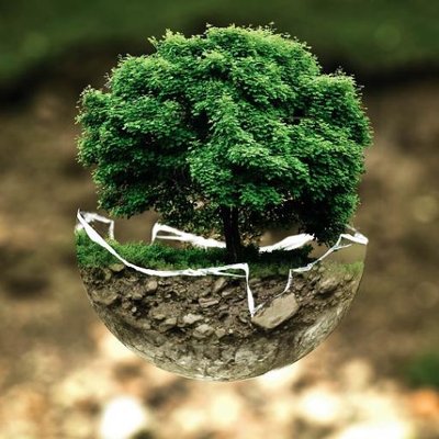 Ecosocialisme53's profile picture