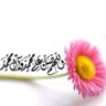 عزة's profile picture