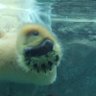 ふらっと旅好きさん profil fotoğrafı