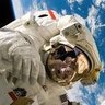 novak jarous's profile picture