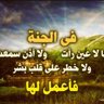 شموخ انثى💕 的头像