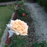 Yug Nachiketa profil fotoğrafı