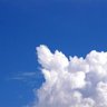 大空 〜そら〜:「空へ。〜まだ見ぬ景色がそこにある。〜」 profil fotoğrafı