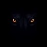 Tik Tak's profile picture