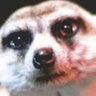 Profilbild von rayclay2