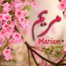 Maryam .m's profile picture