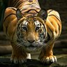 Ricardo Leal's profile picture