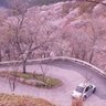 海草 profil fotoğrafı