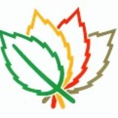f_shikinosato's profile picture