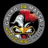 GALÃO DA MASSA ▁ ▂ ▄ ▅ ▆ ▇ █'s profile picture