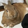 ゼロ profil fotoğrafı