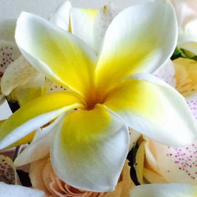 2016aquamarine's profile picture