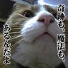 Фото профиля さとし