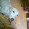 Profilbild von Ismar