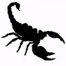 akki's profile picture