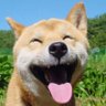 Daniel P's profile picture