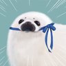 親猫's profile picture