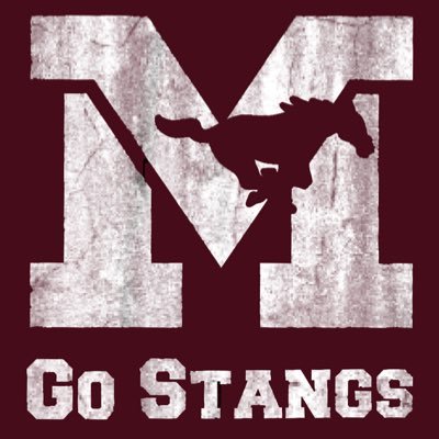M.V. Activities's profile picture