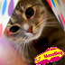 すぅじぃ（本人） profil fotoğrafı