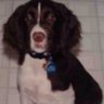 Profilbild von Timmy