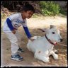 Profilbild von SHRAVAN SAAND