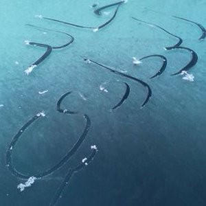 kalrdady32's profile picture