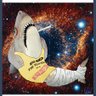 Profilbild von Shark Chapiusk ☣️