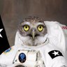 atheus's profile picture