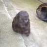 Kehottelija's profile picture