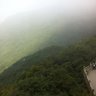 Null 的头像