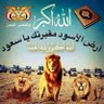 Фото профиля Lion