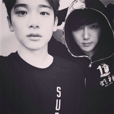 sl_ye's profile picture