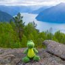 Chompy's profile picture
