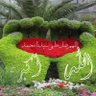 Фото профиля ابوسالم