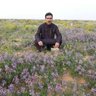 سليمان بن محمد 的头像