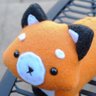 Robin Fox's profile picture