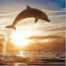 気になる画像♪♪☆ 的头像