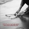 مساير زمانه 的头像